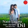 About Naio Lagata Dil Song